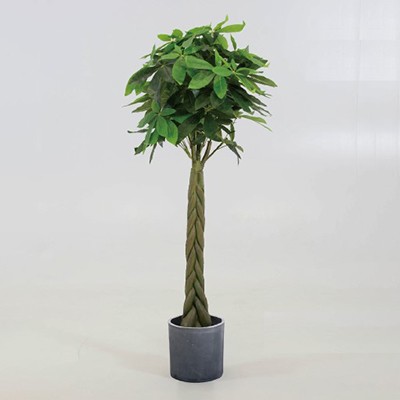 激安 Yard8 フェイクグリーン カイエンナッツ Myk0717 Myk0919