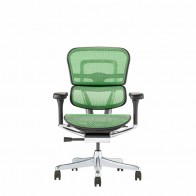 Ergohuman PRO2 エルゴヒューマン プロ ローバック（EHP2-LAM）